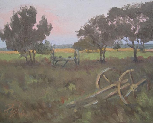 Carros de campo
