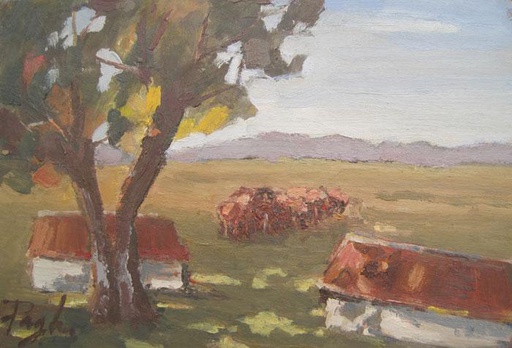 Galpones de campo