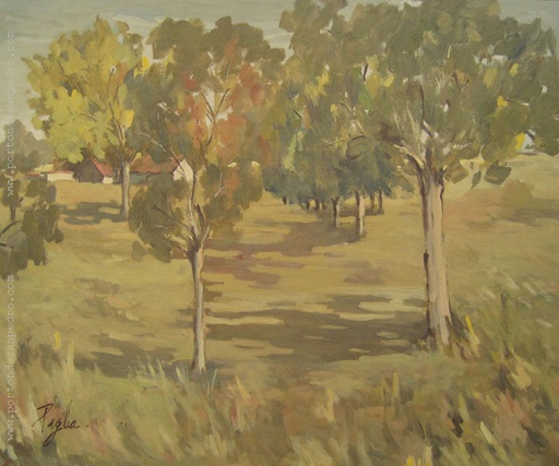 Paisaje de campo III