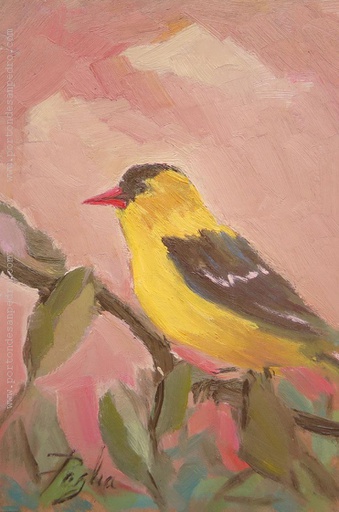 Pajarito II