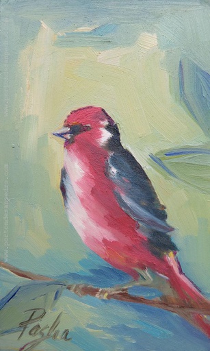 Pajarito III
