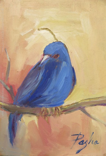 Pajarito V