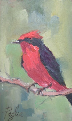 Pajarito VI