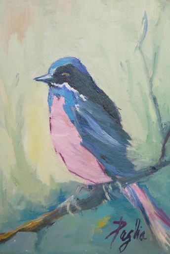Pajarito VII