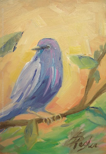 Pajarito VIII