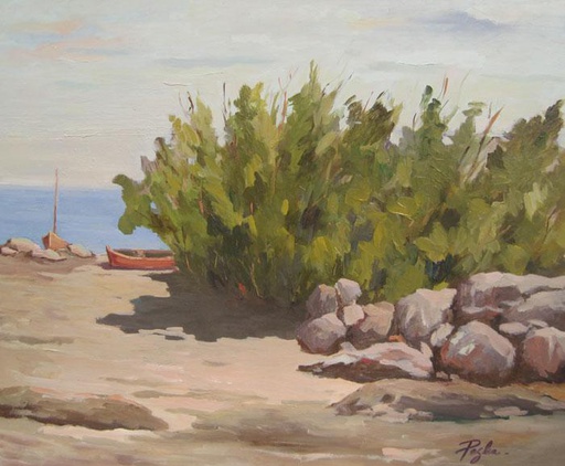 Playa Carrasco
