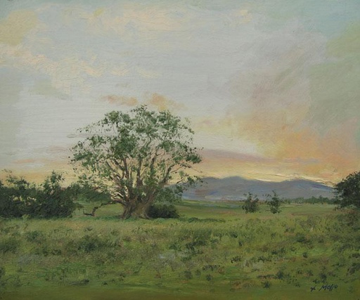 Atardecer en el campo, primavera