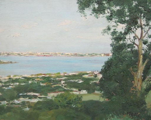 Bahía de Montevideo III