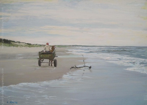 Cabo Polonio II