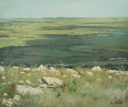 Desde el Verdún