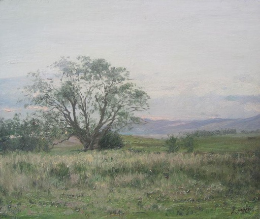 El Ombú