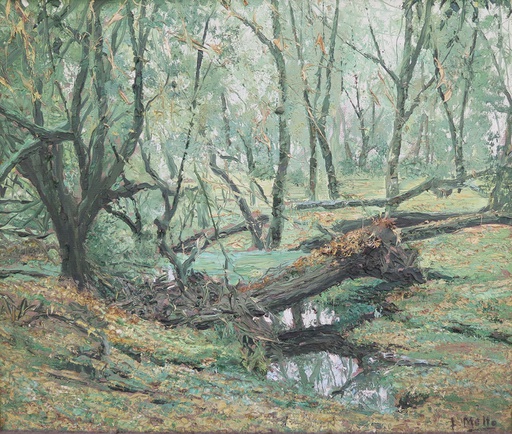 El Pantanal