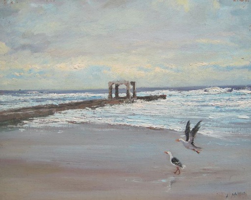 Gaviotas en la playa