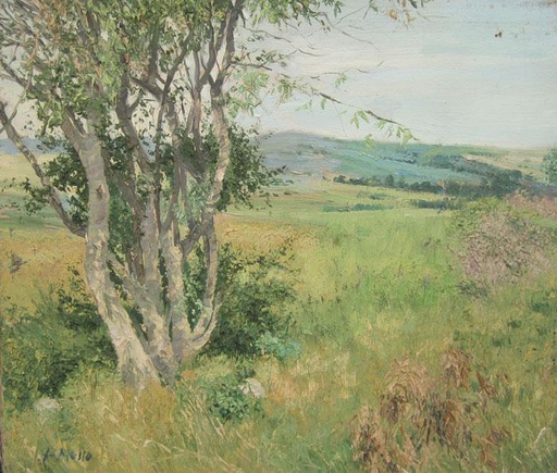 Minas
