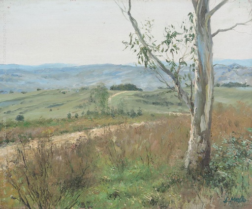 Paisaje Minuano