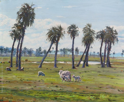 Palmares de Rocha