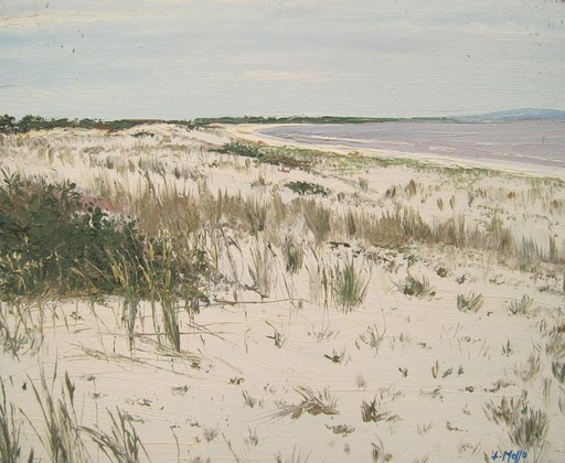 Parque del Plata II