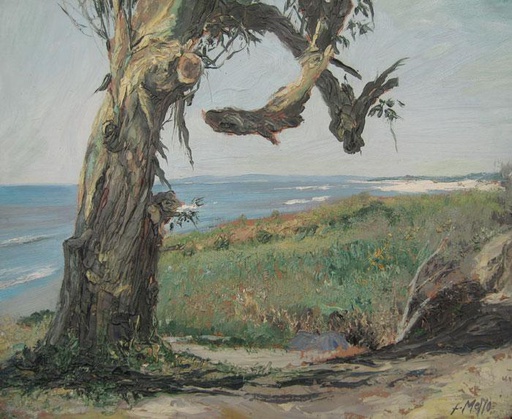 Parque del Plata