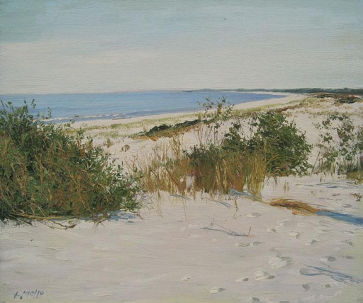 Playa IV