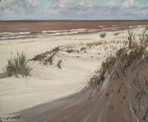 Playa IX