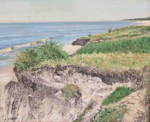 Playa La Floresta