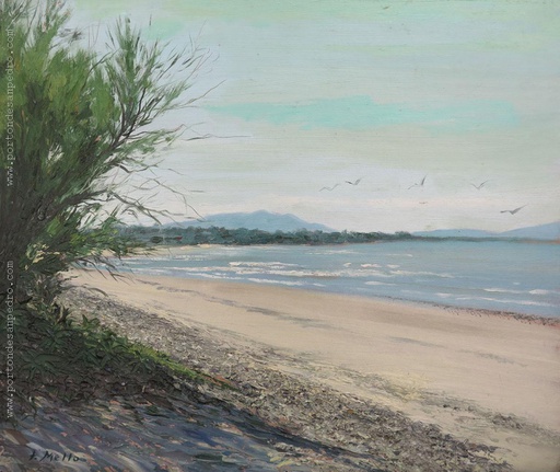Playa Las Flores