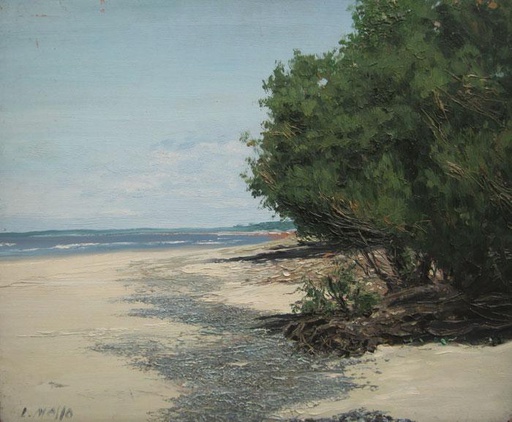 Playa Las Flores II