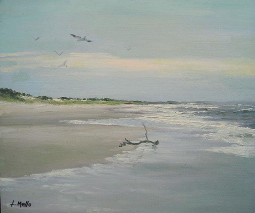 Playa V
