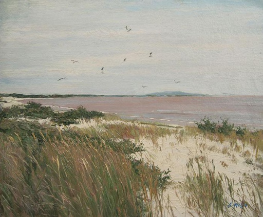 Playa VI