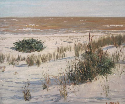 Playa VII
