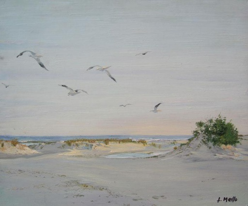 Playa VIII