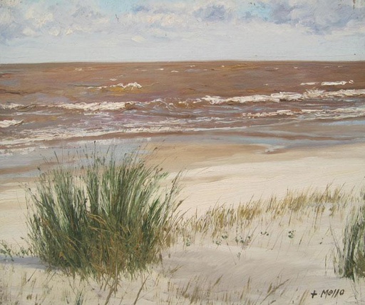 Playa XI