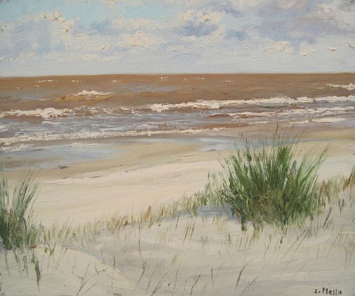 Playa XII