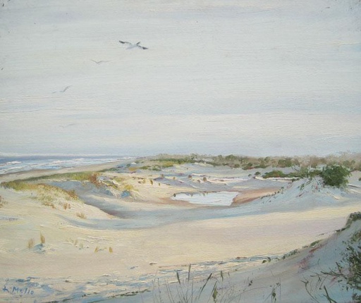 Playa XIII