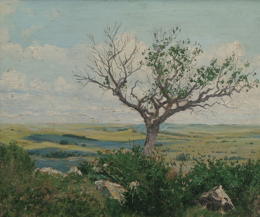 Sierras de Minas II