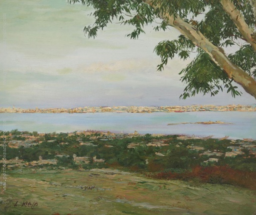 Vista de Montevideo desde el Cerro