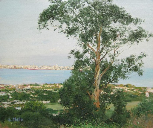 Vista desde el Cerro II