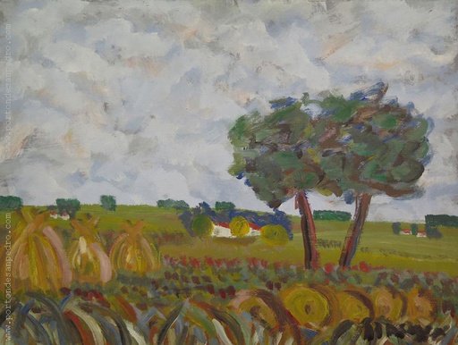 Campo y parvas
