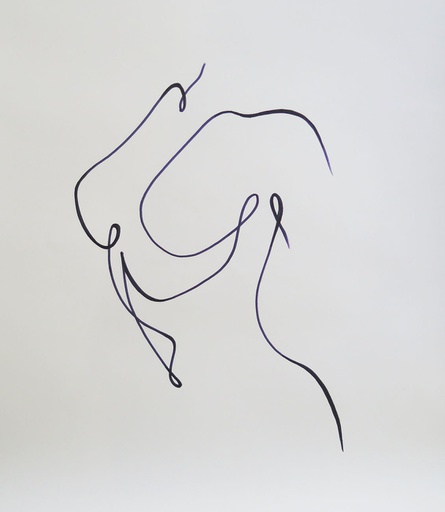 Desnudo