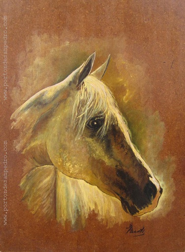 Cabeza de caballo