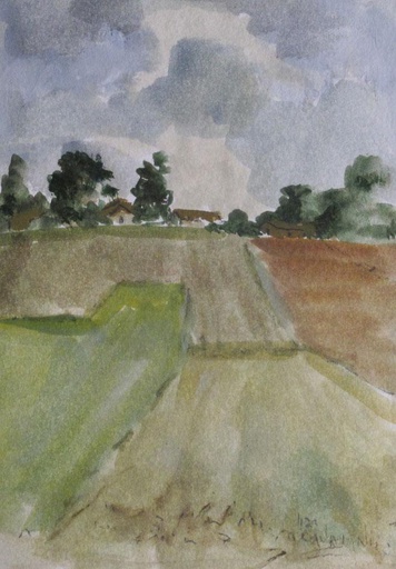 Campo