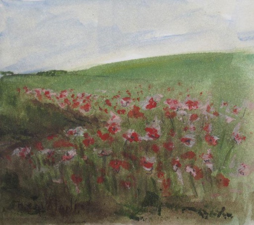 Campo de amapolas