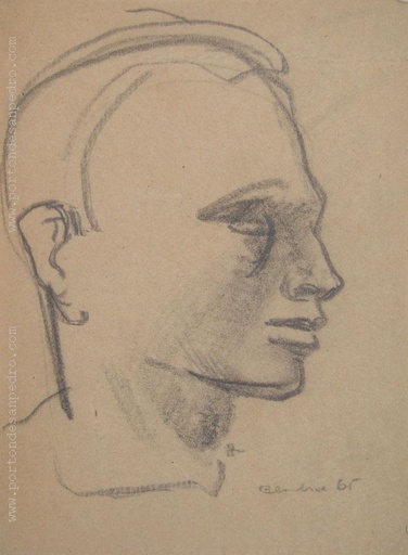 Perfil II