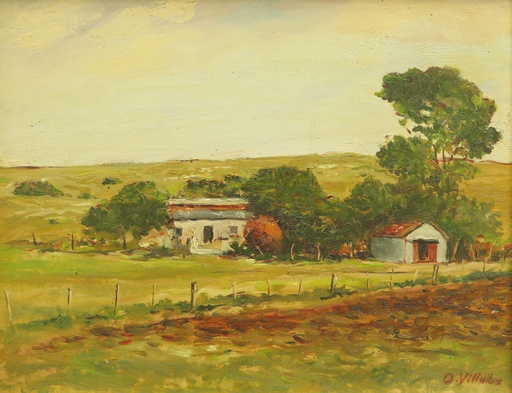 Campo
