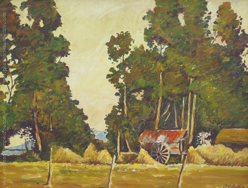 Paisaje de campo