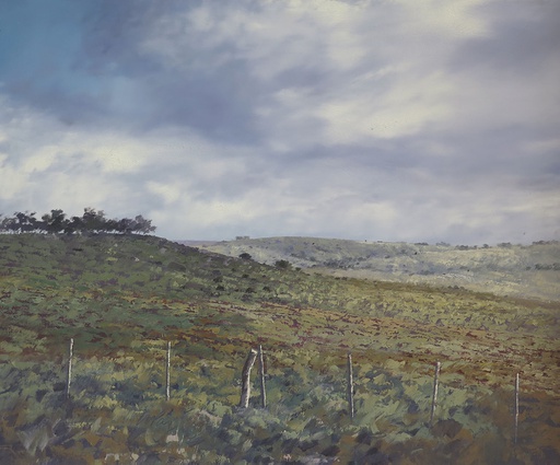 Campo