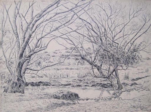 Aiguá VIII