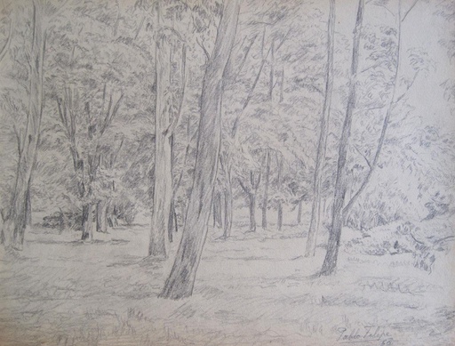 Bosque