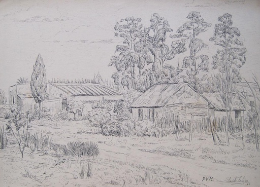 Bosque IV