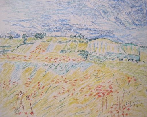 Campos de trigo